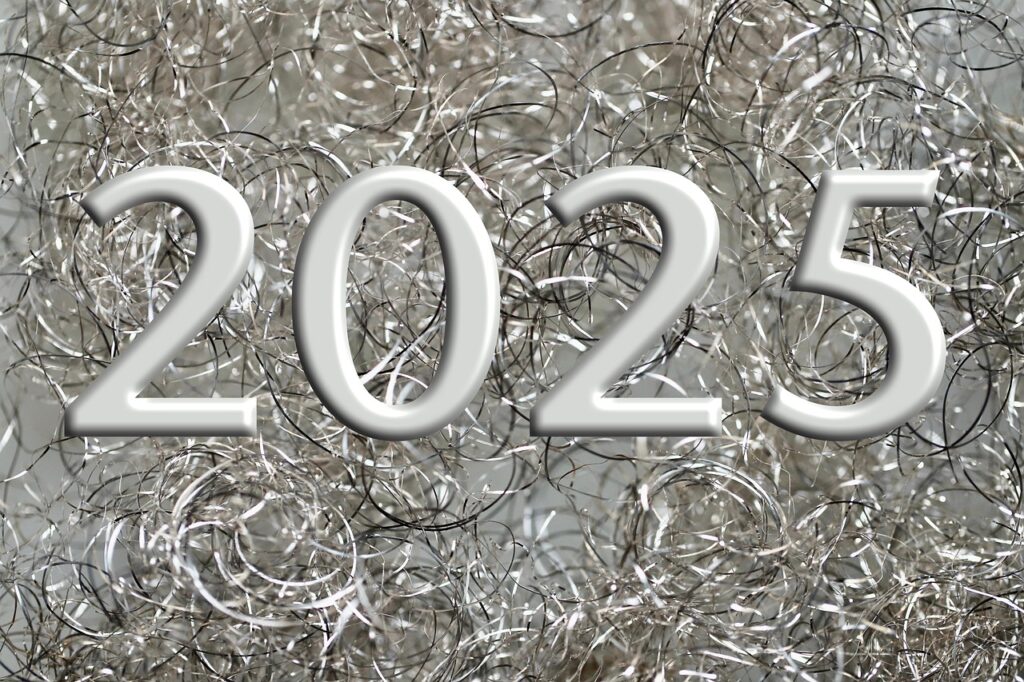 Disneyプラスで2025年に見るべきおすすめ作品は？