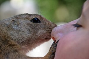 dmmtvで見るべきおすすめコンテンツは？